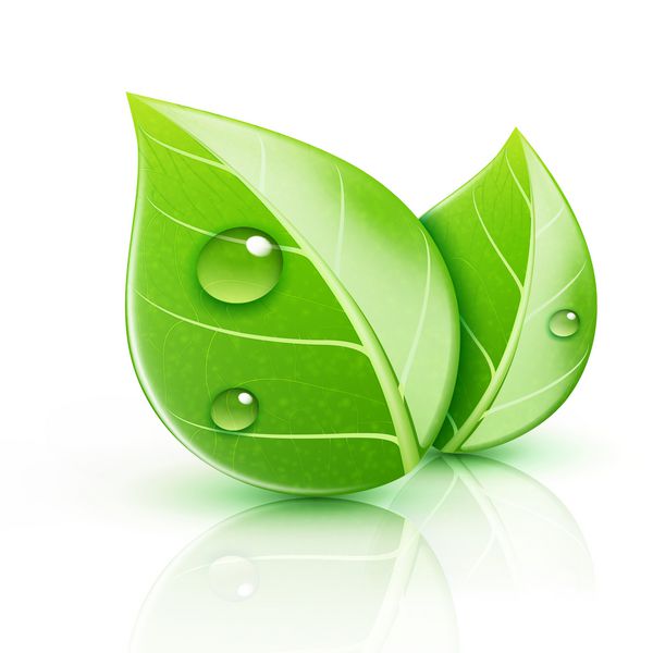 کیفیت محصولات